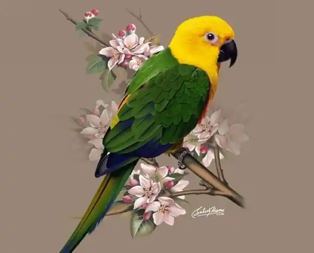 五彩缤纷的鸟 - 招财咕噜 - 招财咕噜