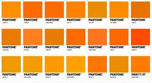 它想要告诉大家:橙色家族永不认输,除了亮橙色我还有一堆.