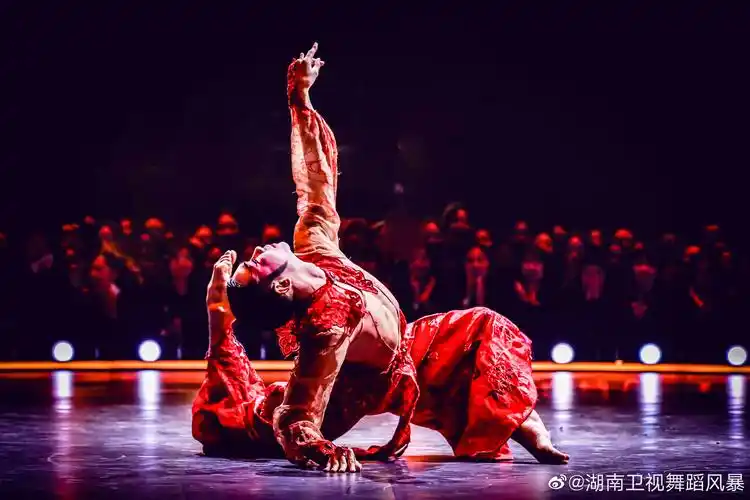 原创舞蹈风暴年度4强诞生可惜这对cp只进了1个