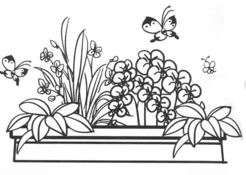 花坛的四周,摆放着一盆盆冬青.嫩绿的