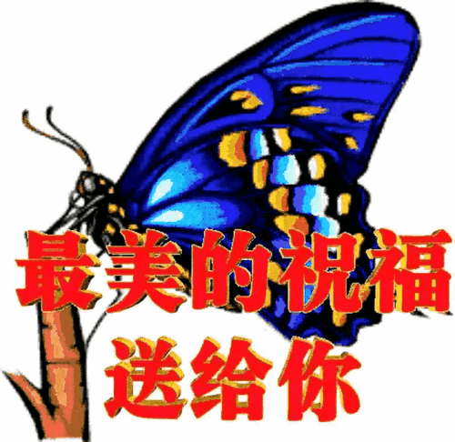 把最美的祝福送给你