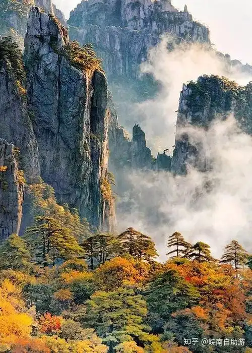 伴有黄山松挺拔的姿态,游道两旁的不时有落叶盘旋飘落,远处树木被秋天