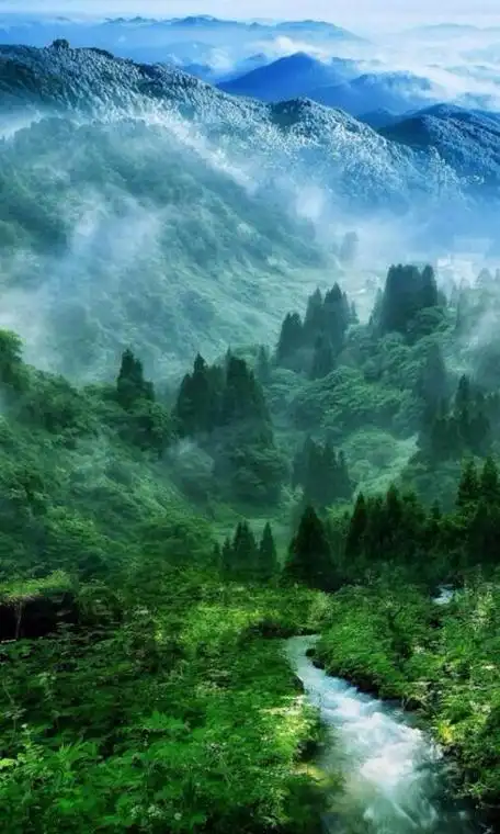 一看就舒心的图片