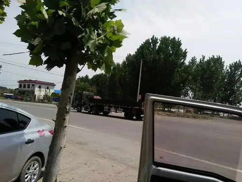 山东省临沂市兰陵县s38岚曹高速靠近兰陵县人民法院向城法庭天气预报