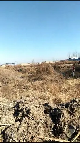 这就是阿姨家出门就能看到的大坟包,阿姨每天就在这样的环境下生活