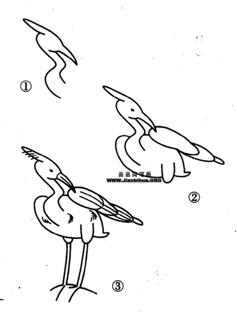 白鹭的简笔画白鹭的简笔画怎么画