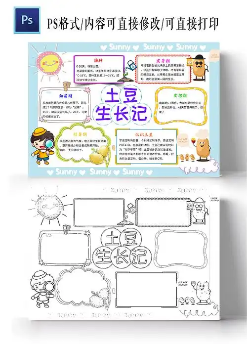 蓝色卡通土豆成长生长记土豆小学生手抄报卡通小报手抄报