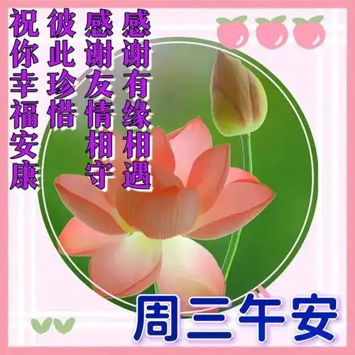 下午好图片带字祝福开心相伴快乐相随