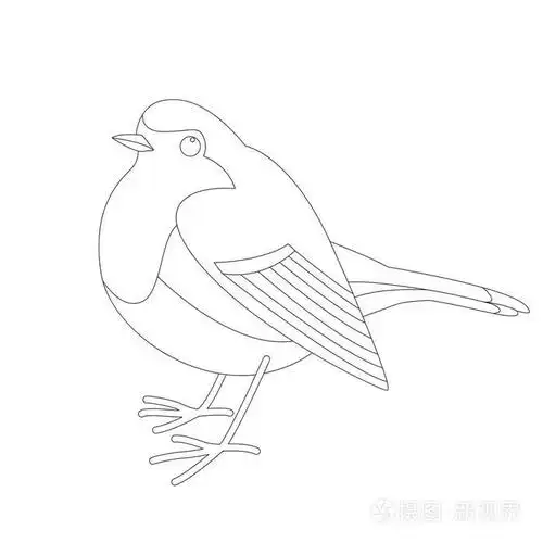 知更鸟, 向量例证, 衬里插画-正版商用图片150qwa-摄图新视界