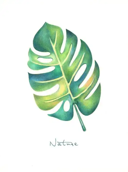 《一些彩铅装饰画》