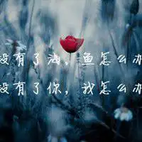 蓝色风景带字头像一片蓝色的唯美丰集团偶像点击鼠标右键下载