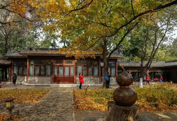 华德阳:读懂地坛已中年_人生_稿酬_思考