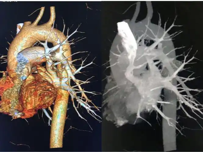 秀新技 展影像风采 迈向新时代