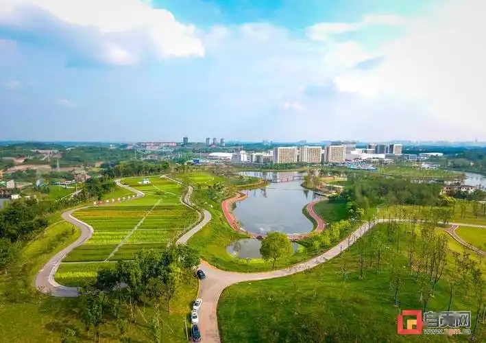 自贡东部新城添高颜值公园宜昆河湿地公园草木葱茏湖水澄碧