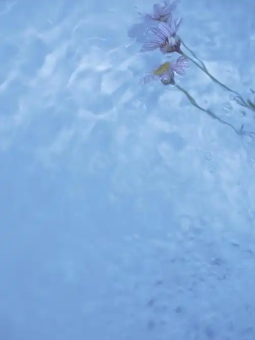 水中花,镜中月,眼前人