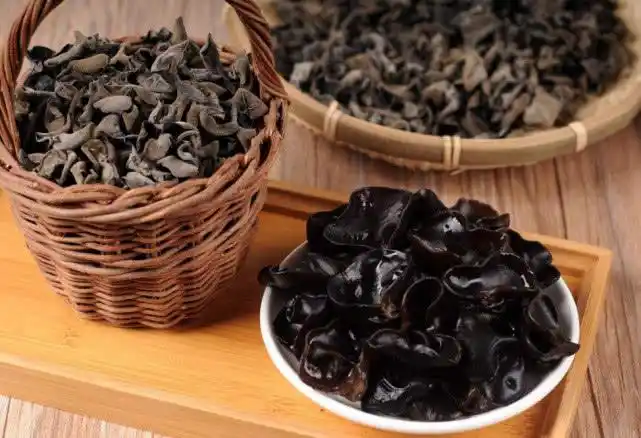 经常吃木耳,有什么好处?在吃的时候,这些禁忌也要有所了解