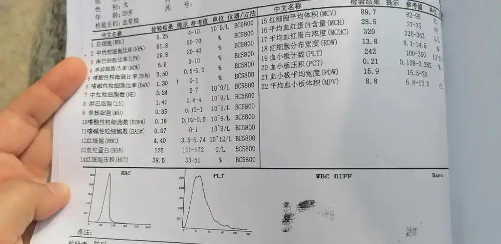 月25日打印的检验报告单,内容有血常规和血糖等,但体检报告上没有血型