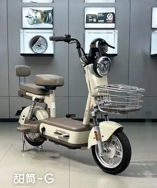 台铃电动车新款甜筒新国标智能刷卡大电池长续航成人小款型代步车