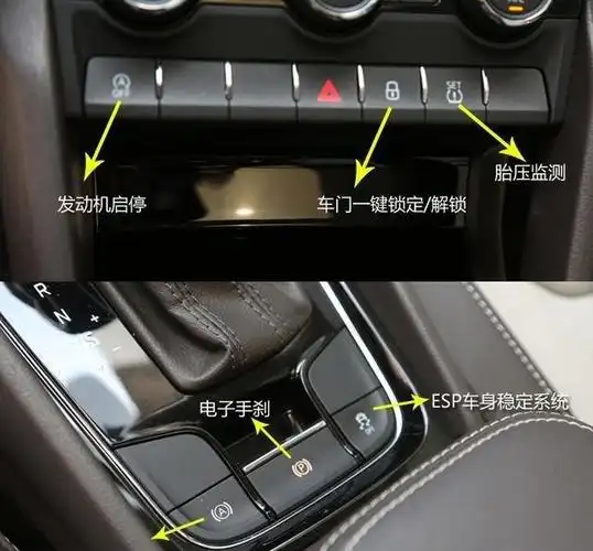 给力大棕熊 科迪亚克kodiaq带你享受极致乐趣