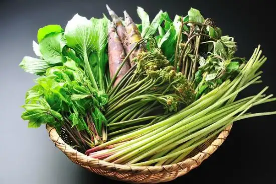 食材 春野菜と山菜 - picture of uematsuya ryokan