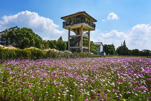 震泽苏小花农家乐