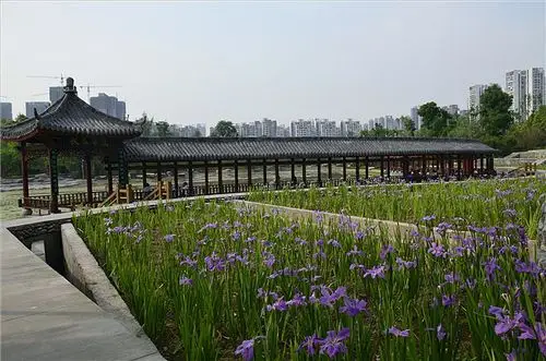 重庆龙头寺公园