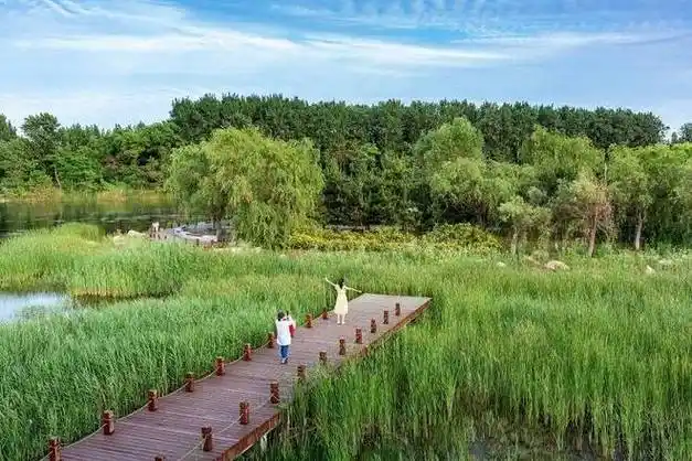 烟台高新区擦亮最美绿色发展底色