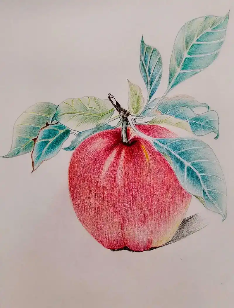 手绘彩铅画 阳光,很暖.你的笑,很浅.怀抱,很好.宛如梦里 - 抖音