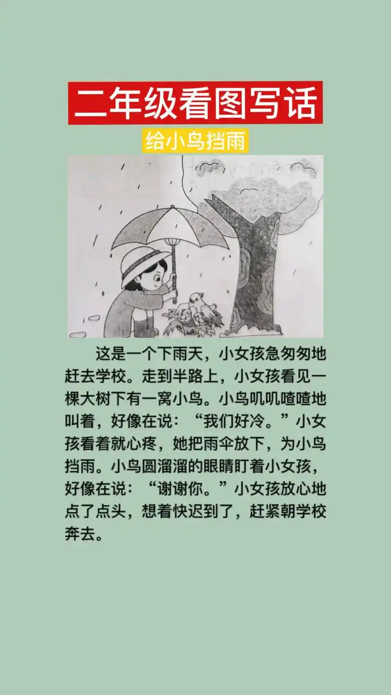 为小鸟遮雨看图写话怎么写,下雨天小女孩在大树下帮小鸟打伞的故 - 抖
