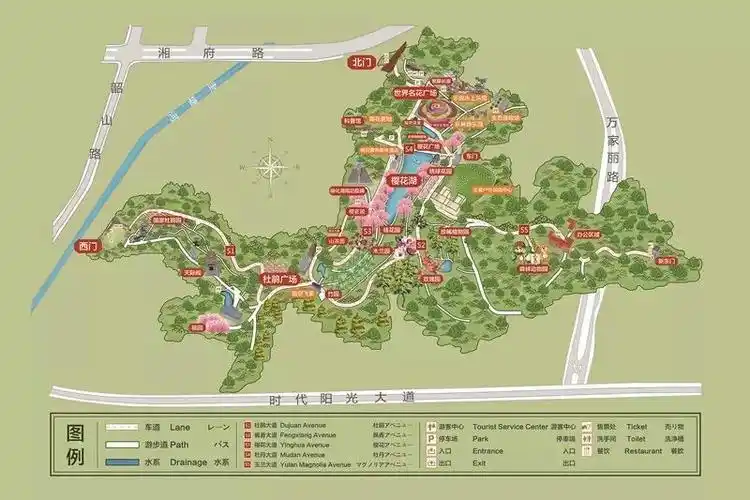 其它 岁月如歌的美篇 写美篇湖南省森林植物园,也被称为天际岭国家