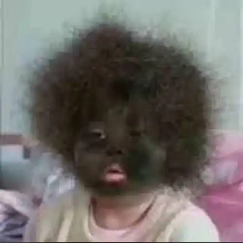 表情包 - 日常表情包