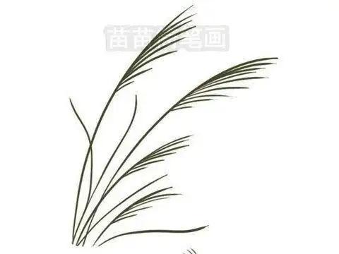 的芦苇简笔画超级简单的钢笔风景画又来啦画一次就会了一起来画芦苇吧