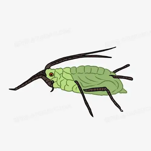 卡通简笔画害虫蚜虫免抠素材