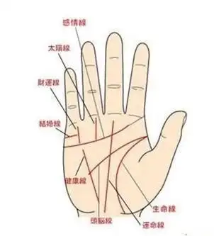 手相面相解密两条生命线代表什么