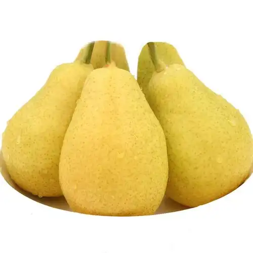 山西 香蕉梨 23斤