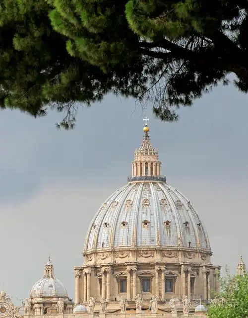 松与梵蒂冈圣伯多禄大教堂的圆顶