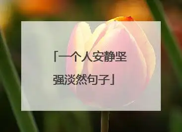 一个人安静坚强淡然句子