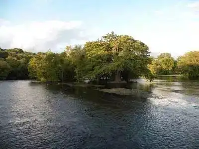 宁静美丽的埃博拉河埃博拉病毒,也因这条美丽的河流得名.