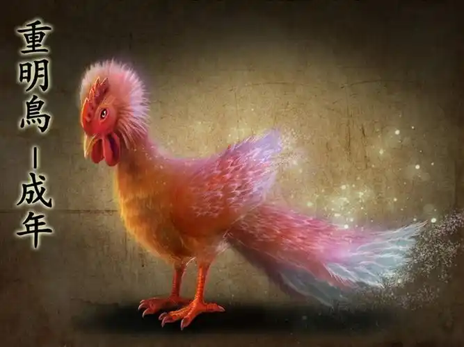 重明鸟2