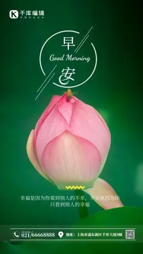 雨后荷花花苞摄影图海报 荷花 文艺 问候 早安 你好 早上好