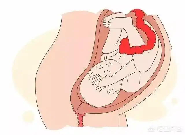 孕31 6去产检,胎儿已经入盆了,会早产吗?需要注意什么? - 石塘网