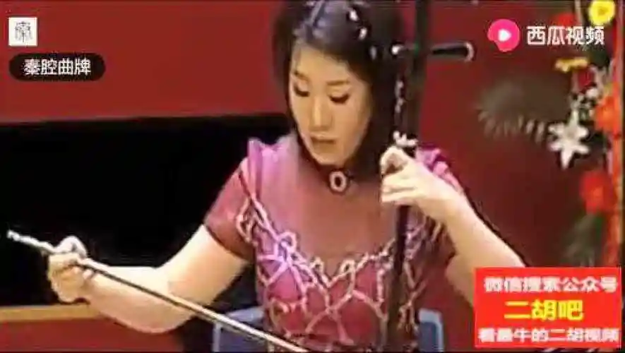 宋飞二胡独奏《二泉映月》1