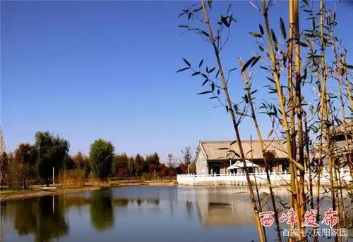 庆阳:「美哉西峰」秋色·醉美西峰