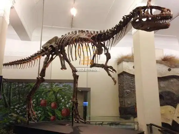 冰脊龙-仿真化石