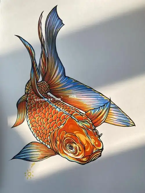 马克笔上色技法入冬一条五彩锦鲤