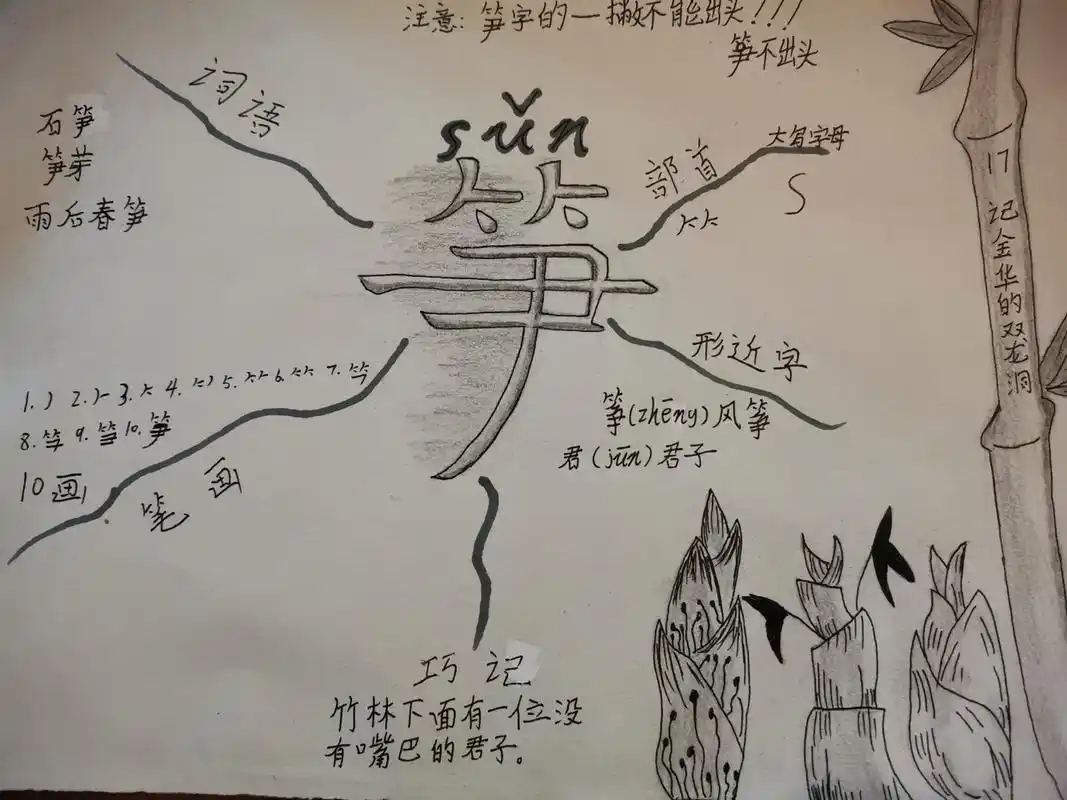 语文四年级下册17课笋字的思维导图