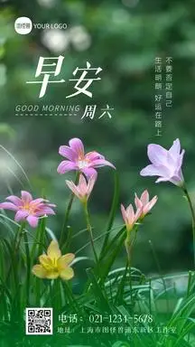 早安周六清新户外草地鲜花摄影图海报