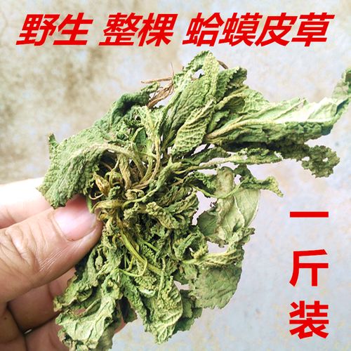 新货野生蛤蟆草晒干整棵干荔枝草癞蛤蟆草雪见草500g包邮中草药