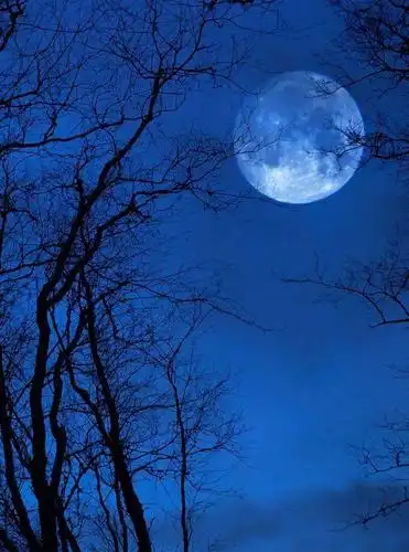 一轮明月照人间共团圆