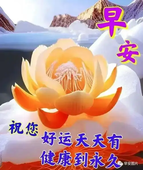 7月9日早上好漂亮祝福图片|快乐|早安|我愿|祝你幸福_网易订阅